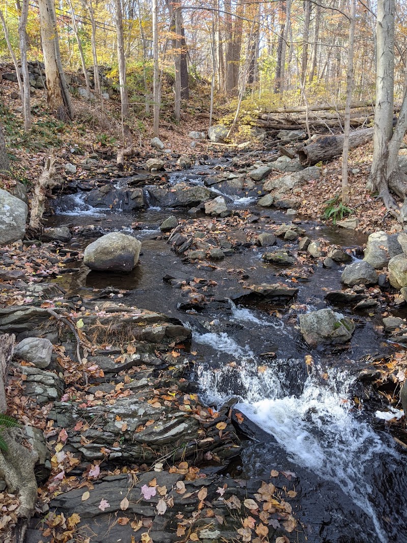 Pound Ridge Town Park photo 4