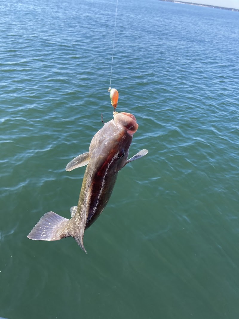 Sound Fishing Charters photo 2
