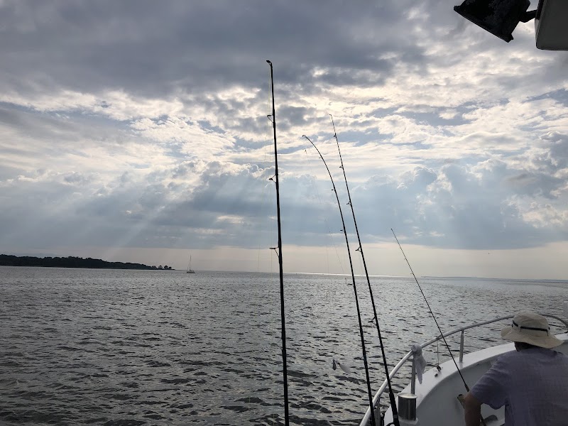 Sound Fishing Charters photo 3