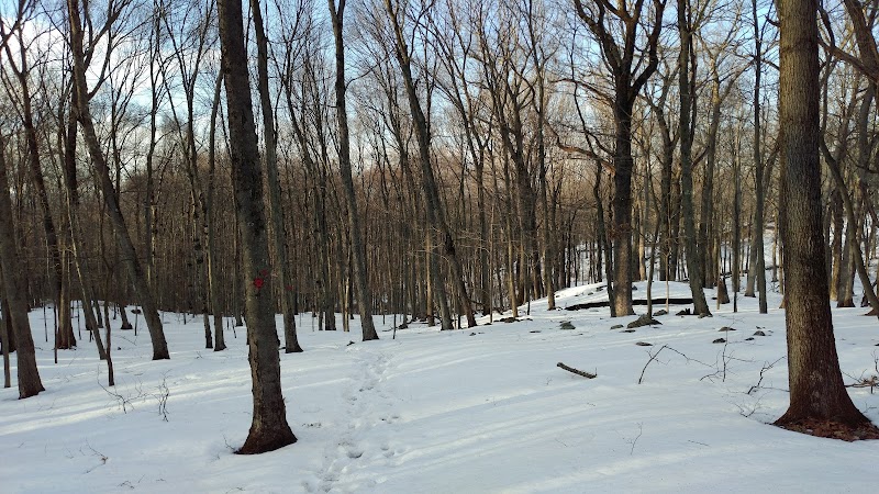 Mount Holly Sanctuary photo 2