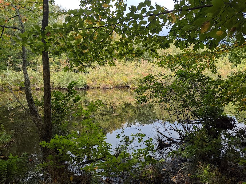 Mount Holly Sanctuary photo 4