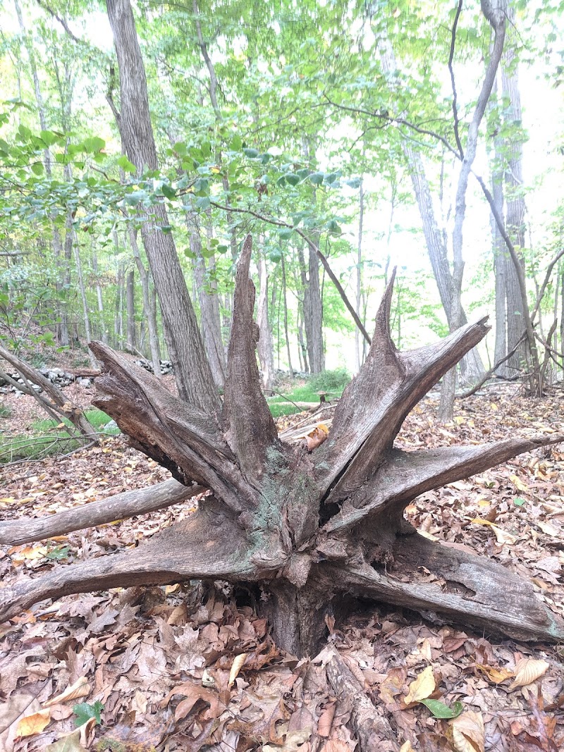 Mount Holly Sanctuary photo 5