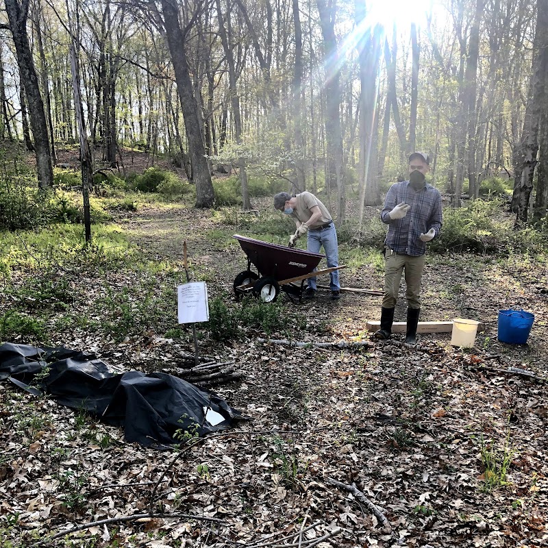 Mount Holly Nature Preserve photo 2