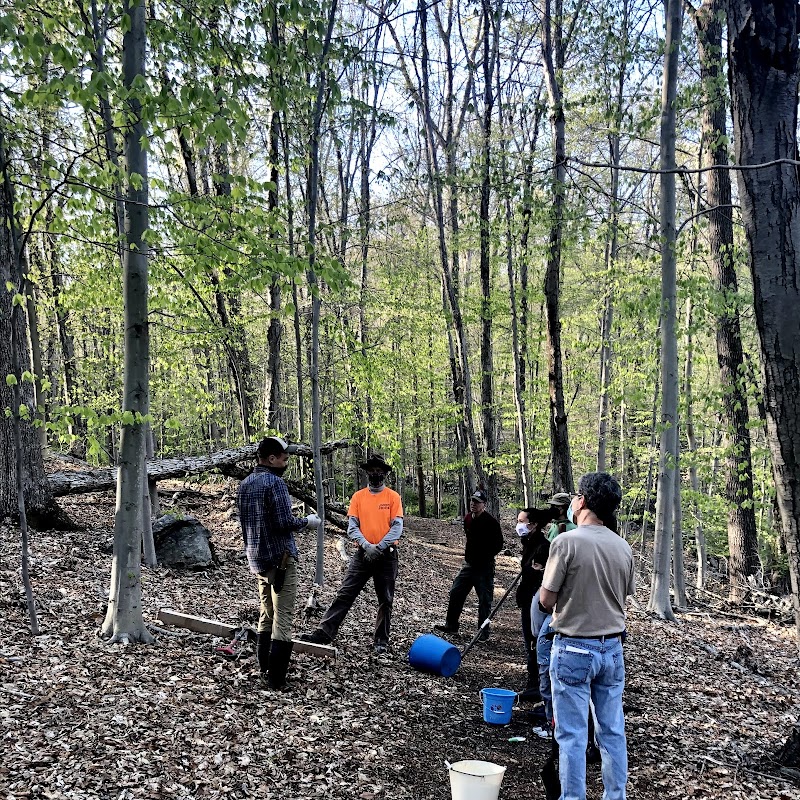 Mount Holly Nature Preserve photo 4