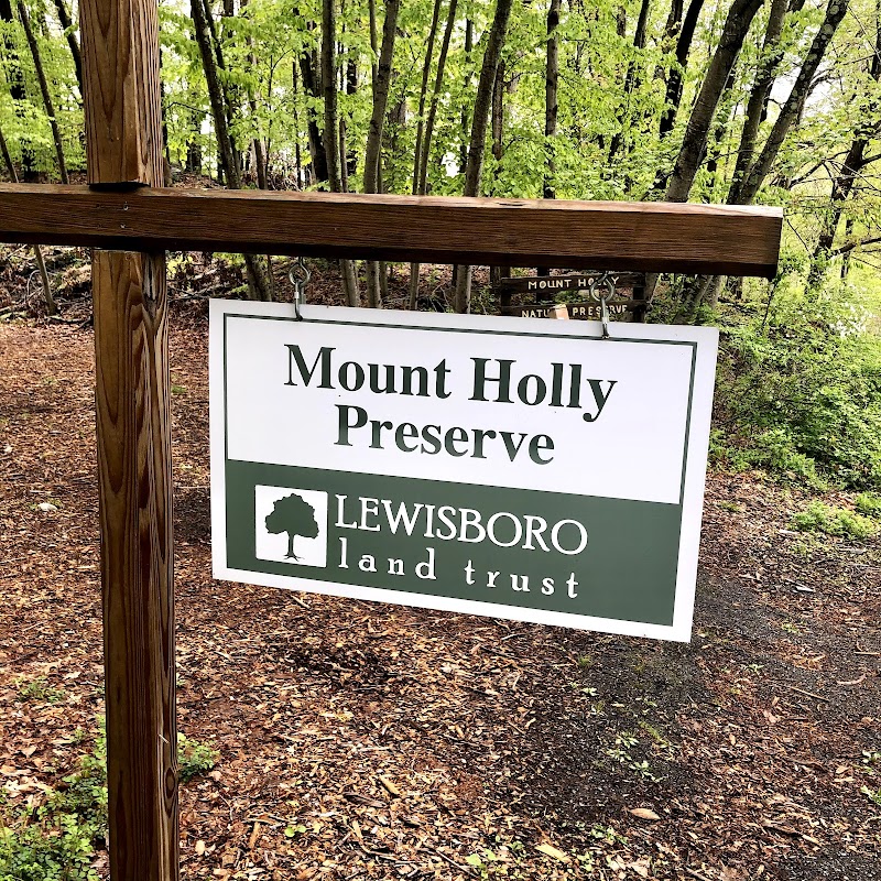 Mount Holly Nature Preserve photo 5