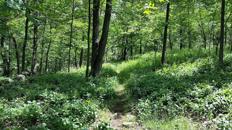 Mountainview Nature Park photo 2