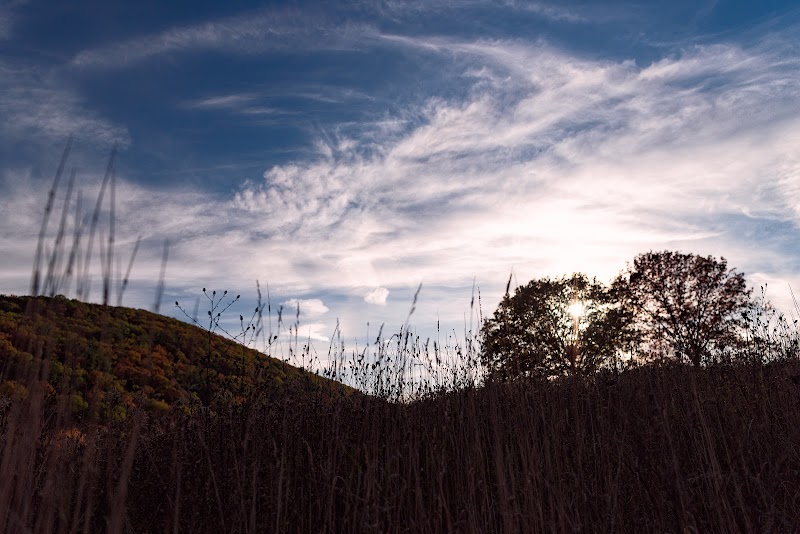 Mountainview Nature Park photo 5