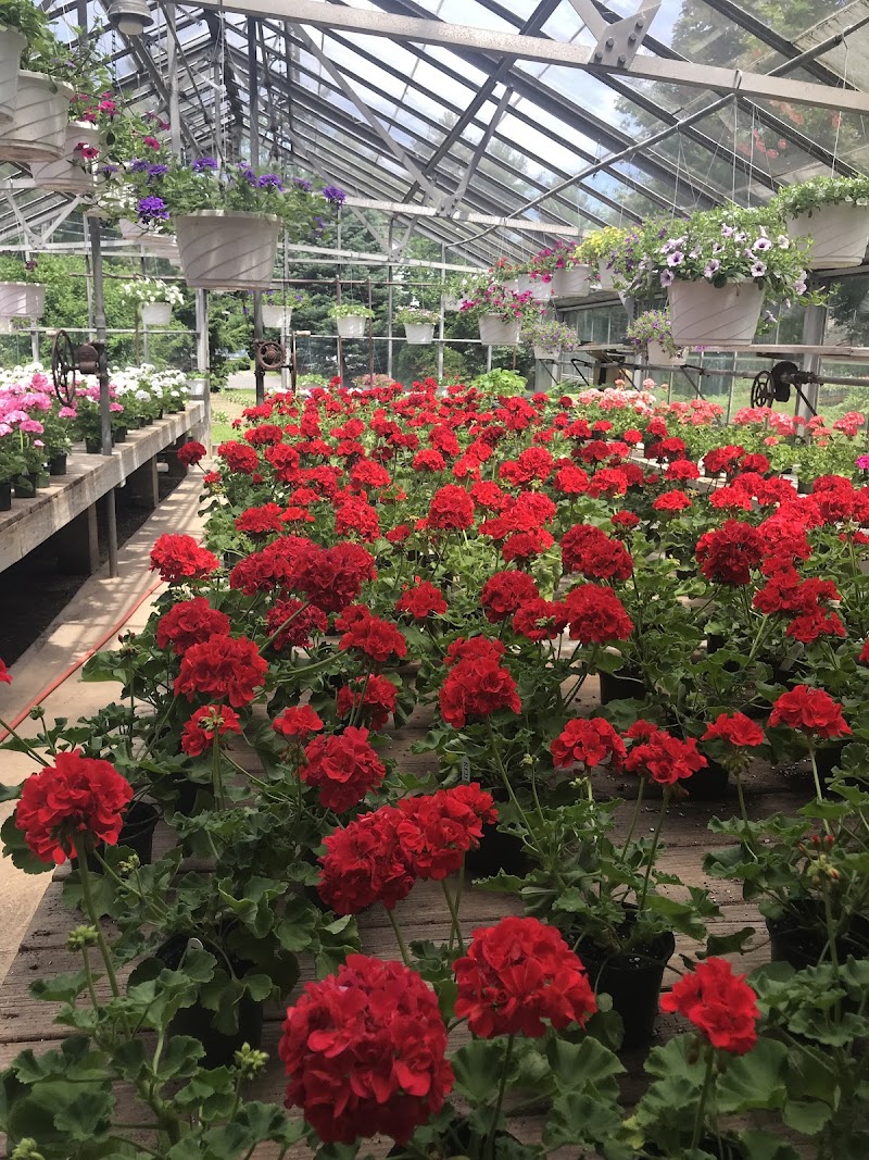 Country Farm Nursery photo 2