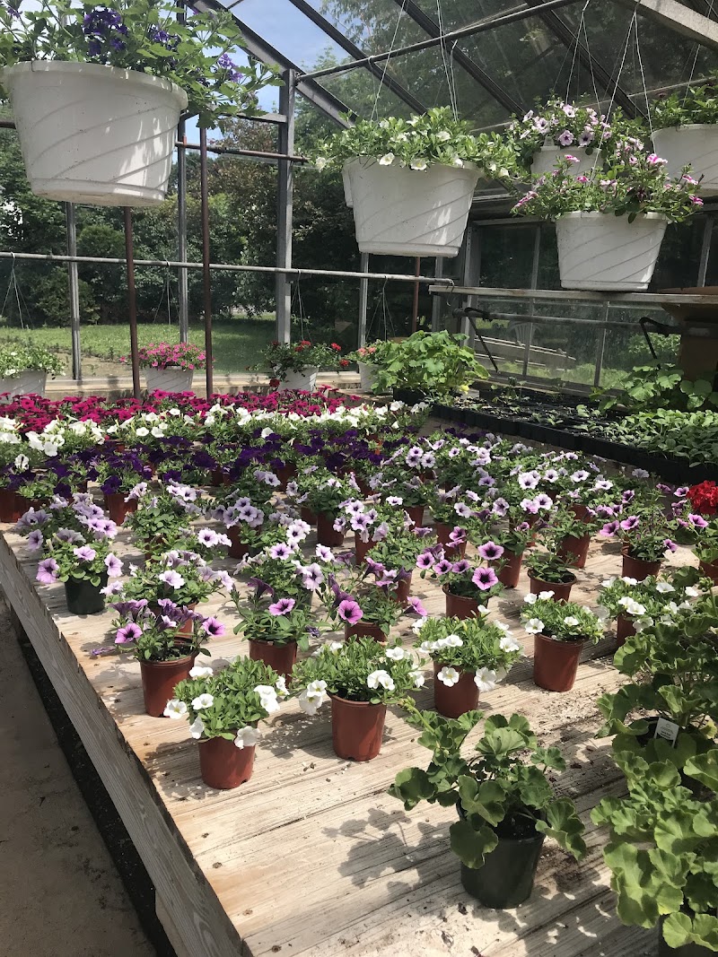 Country Farm Nursery photo 3