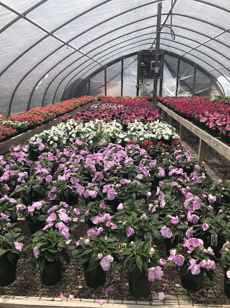 Country Farm Nursery photo 4