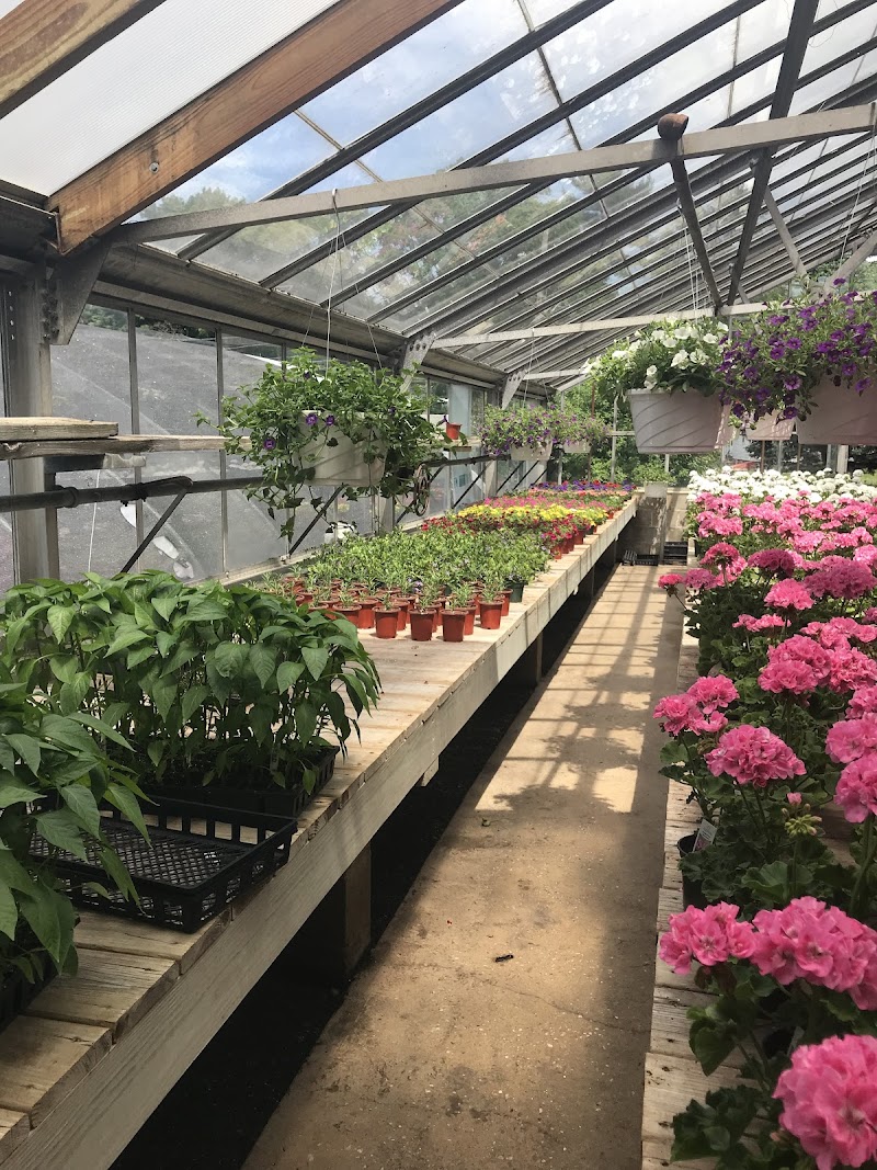 Country Farm Nursery photo 5