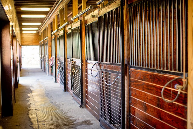 Courtyard Farm photo 3