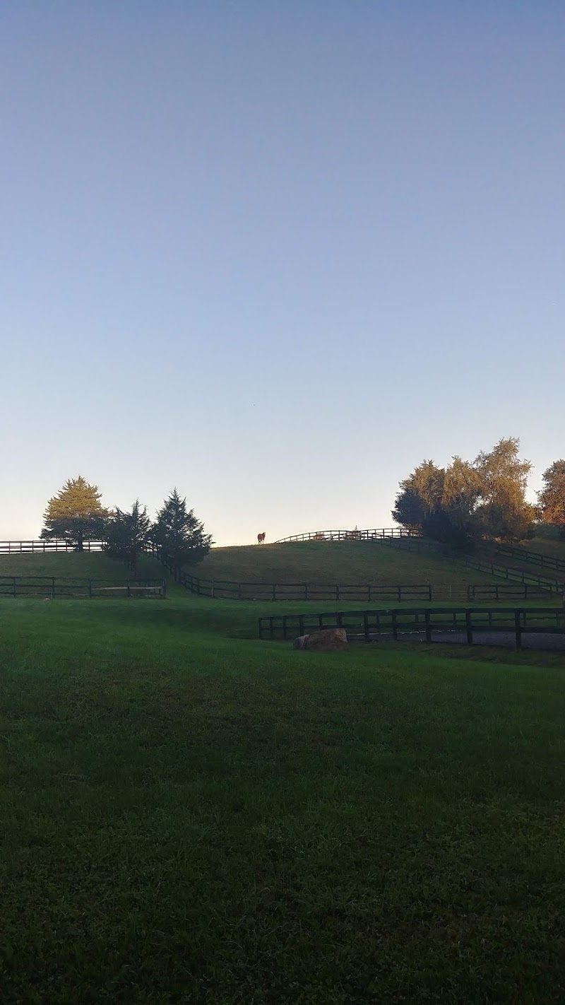 Courtyard Farm photo 5