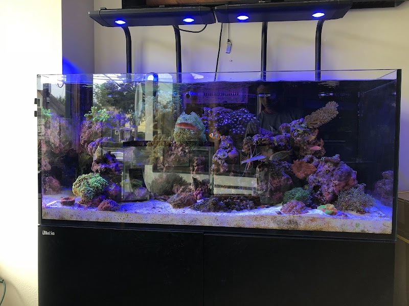 House of Fins photo 2