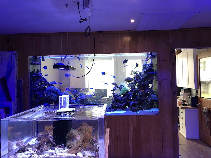 House of Fins photo 5