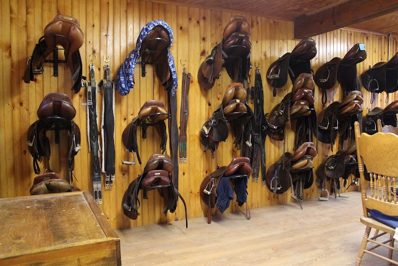 South Horse Stables photo 2