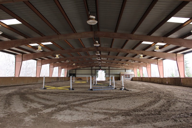 South Horse Stables photo 3