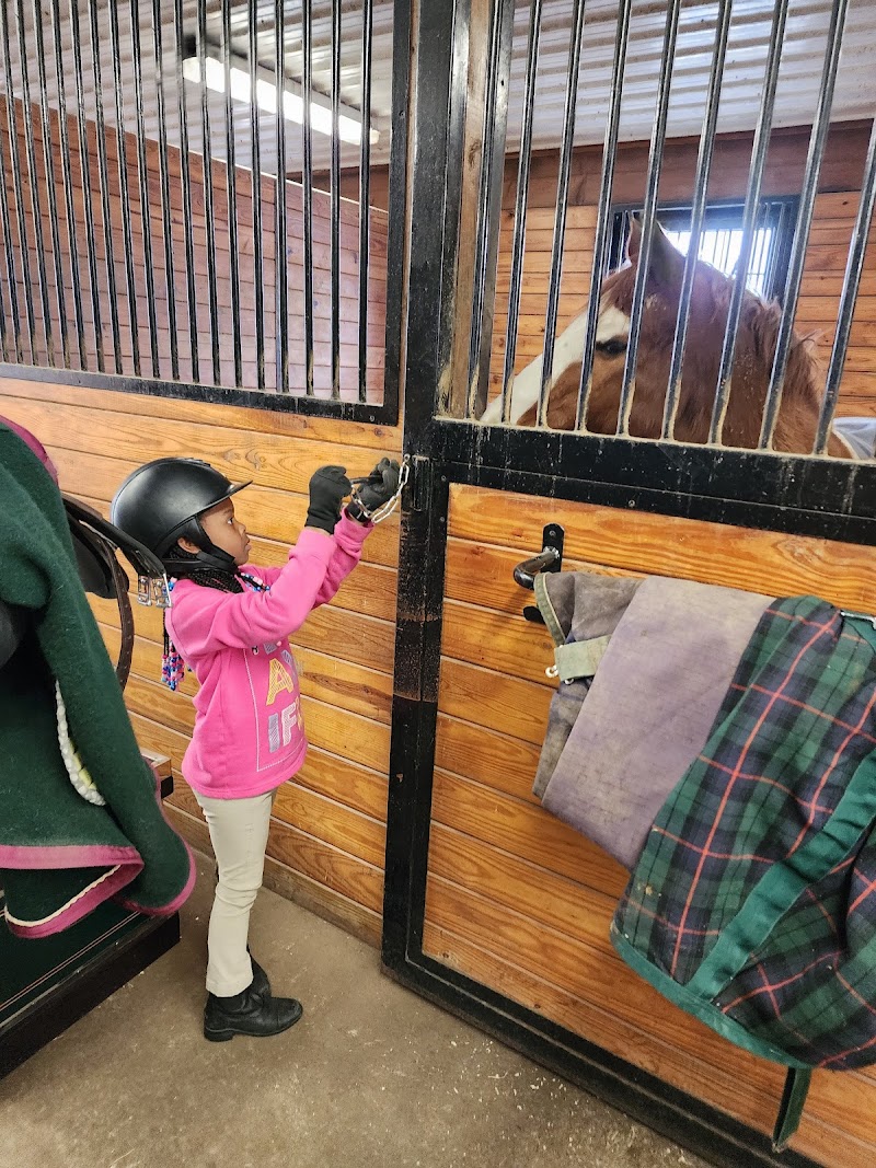 South Horse Stables photo 5