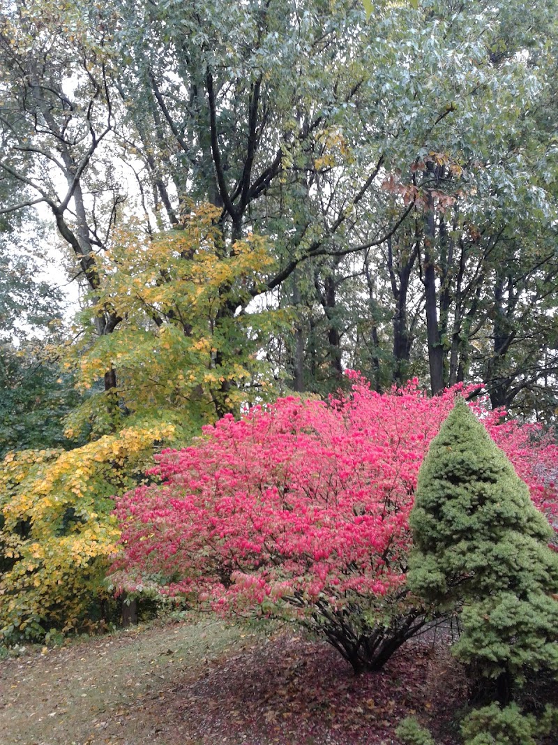 Gouveia Park photo 3