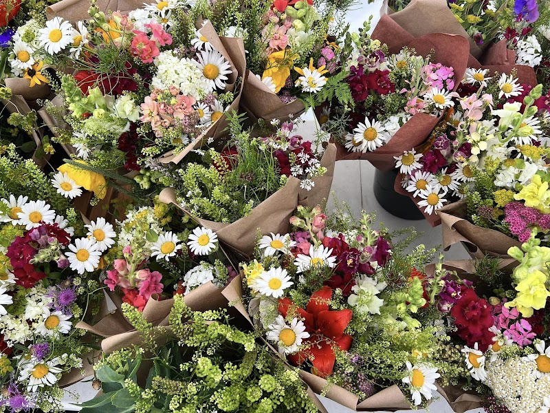 Down to Earth Larchmont Farmers Market photo 4