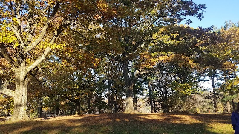 Downing Park photo 3