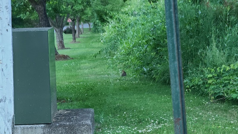 Fox Valley Park photo 5