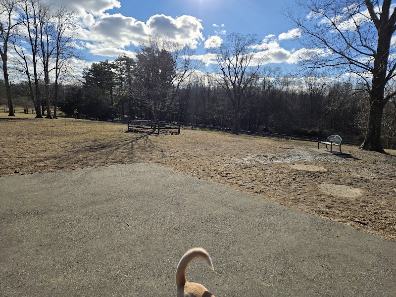 Spencer's Run photo 2