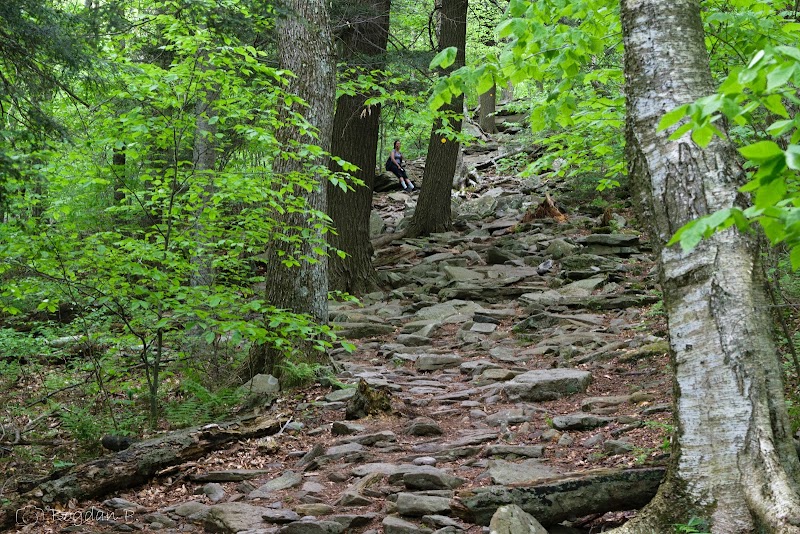 Sprain Ridge Park photo 3