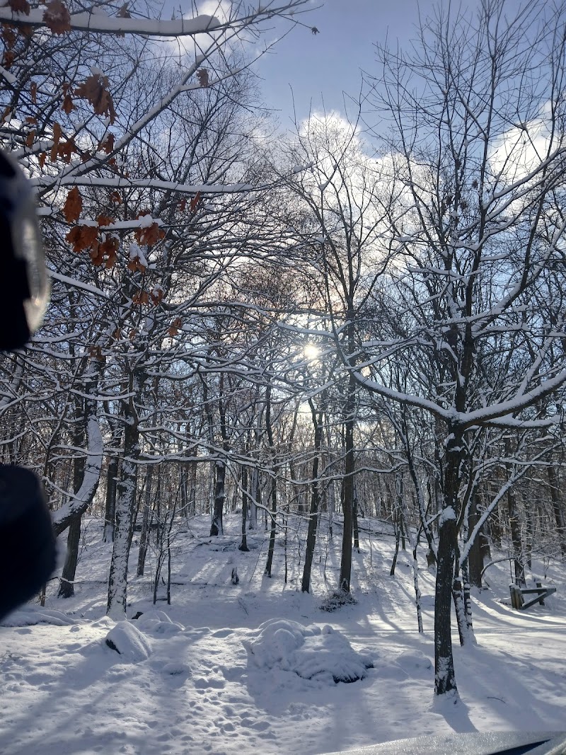 Sprain Ridge Park photo 4