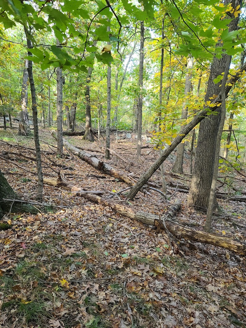 Sprout Brook Park photo 5