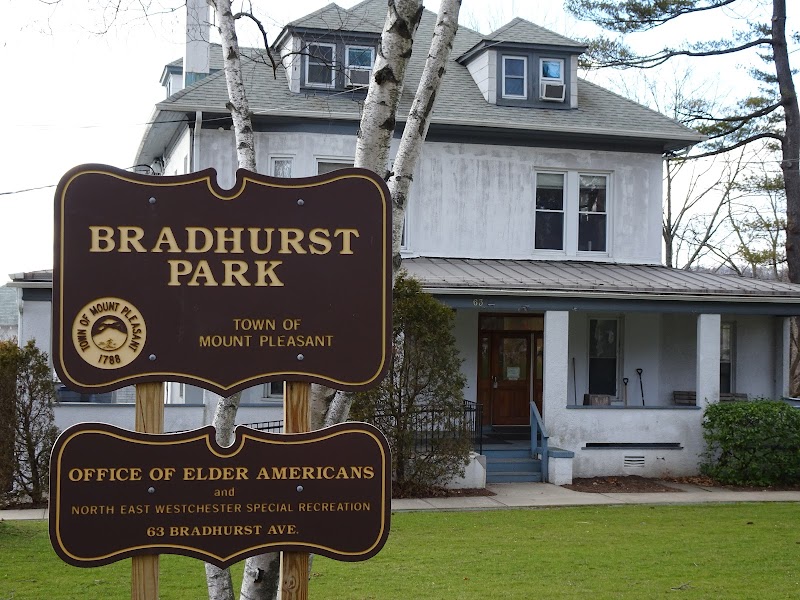 Bradhurst Park photo 5