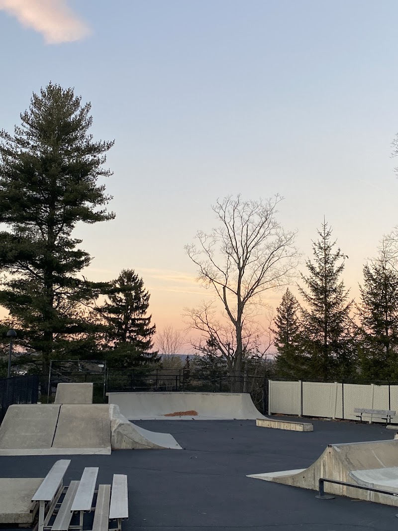 Graham Dickinson SPIRIT Skate Park photo 3