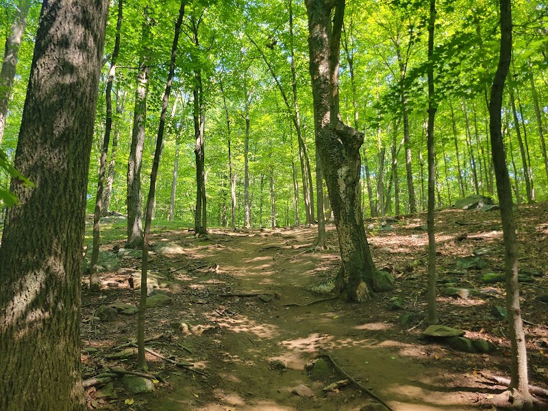 Graham Hills Park photo 2
