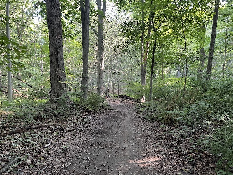 Graham Hills Park photo 3