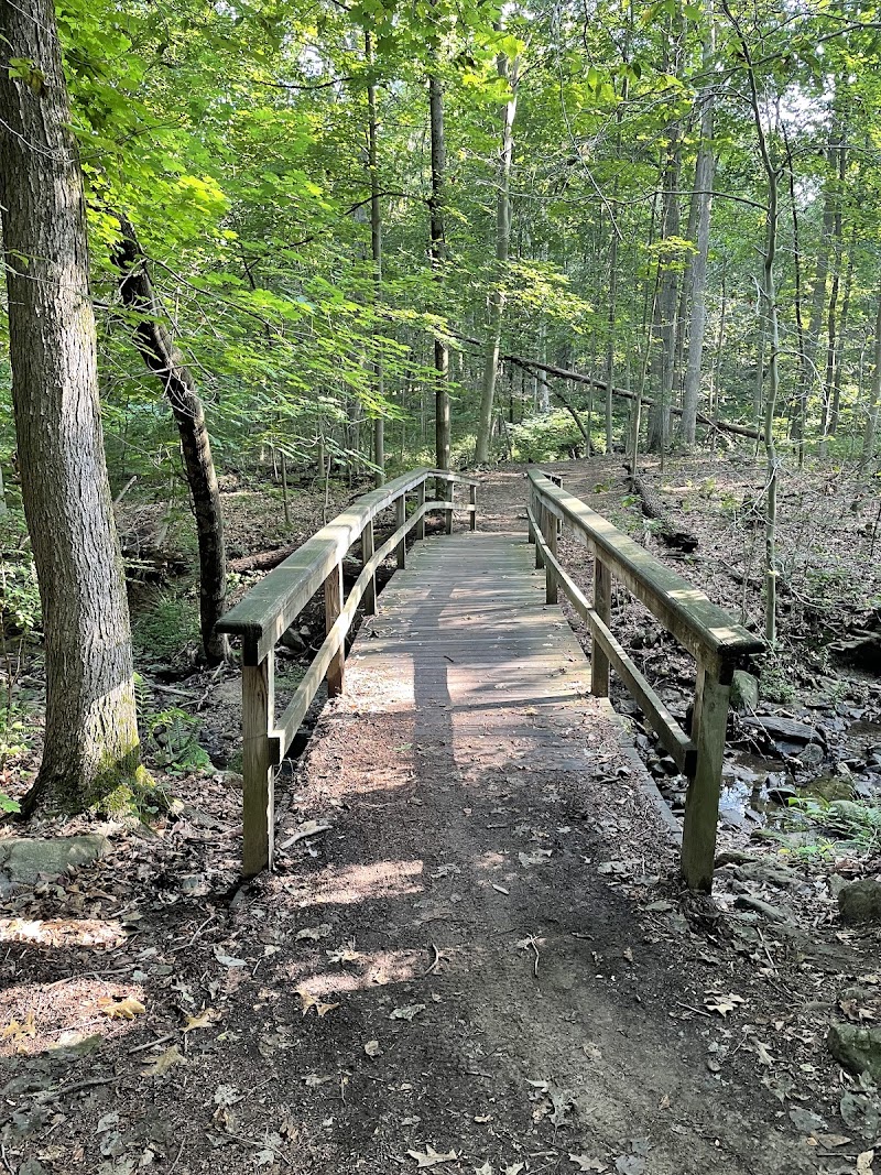 Graham Hills Park photo 4