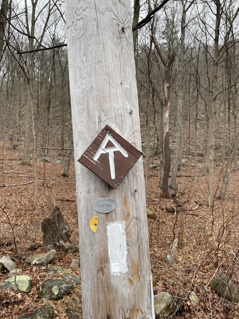 Trail Marker photo 2