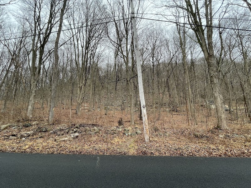 Trail Marker photo 3