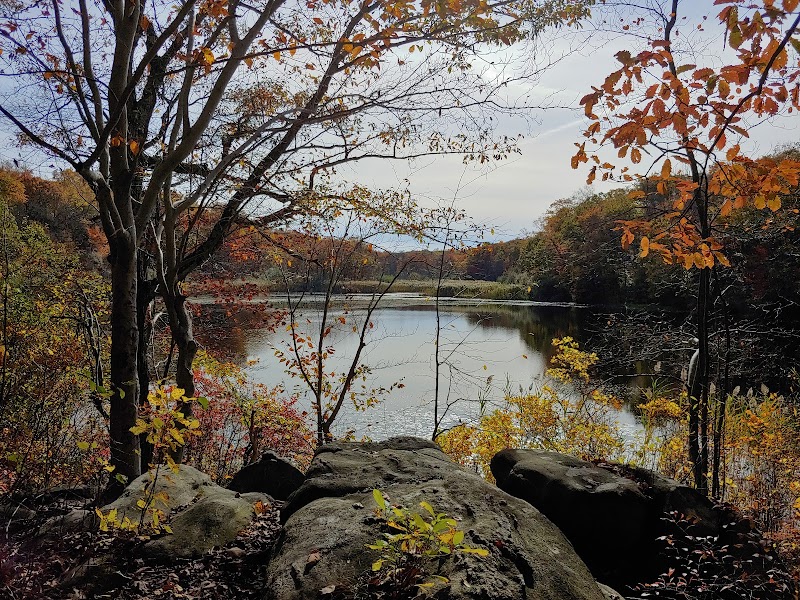 Cranberry Lake Preserve Parking photo 2