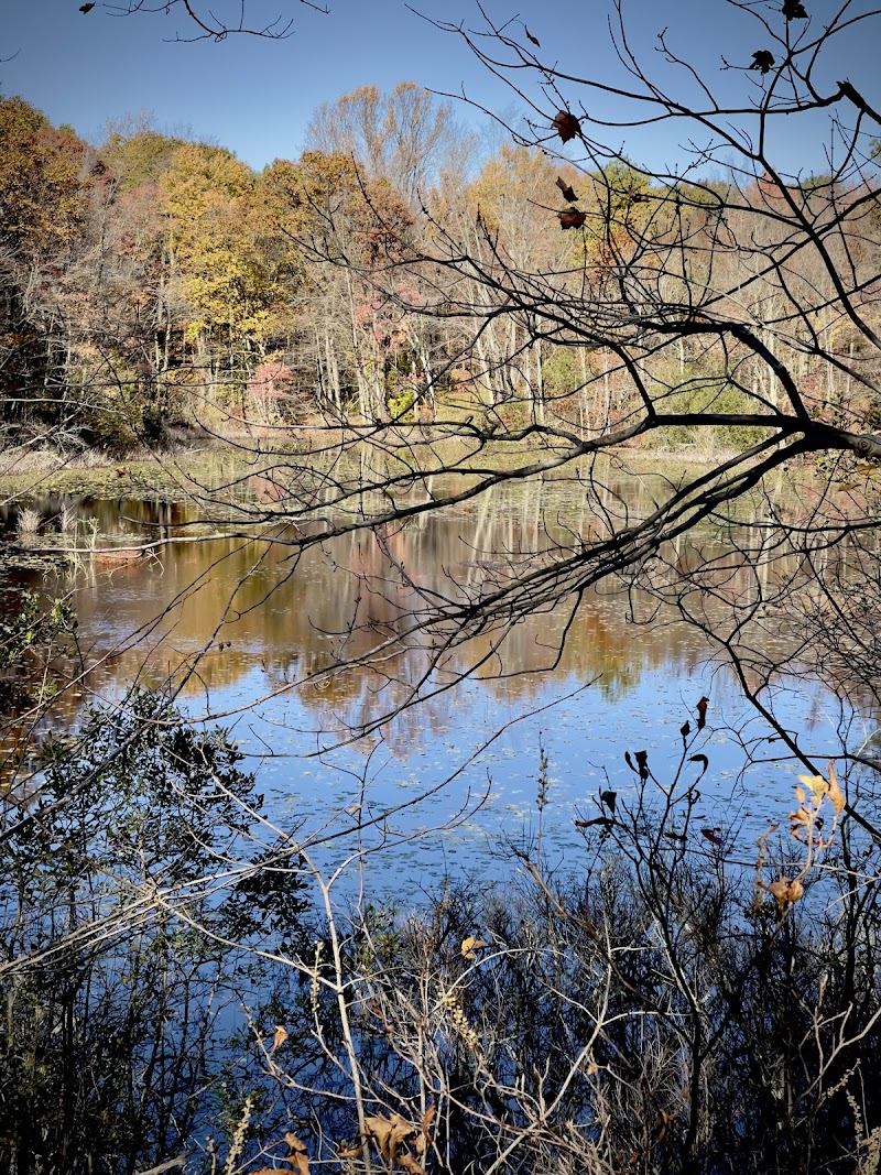 Cranberry Lake Preserve Parking photo 5