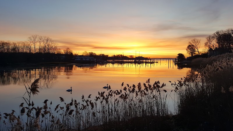 Grass Island Dog Park photo 2