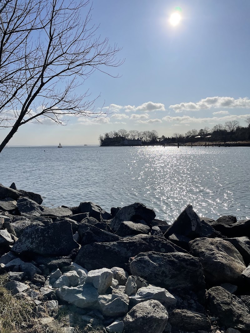 Grass Island Dog Park photo 3