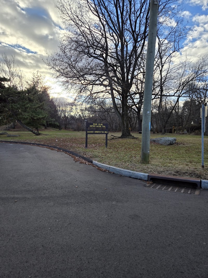 Grass Island Dog Park photo 4