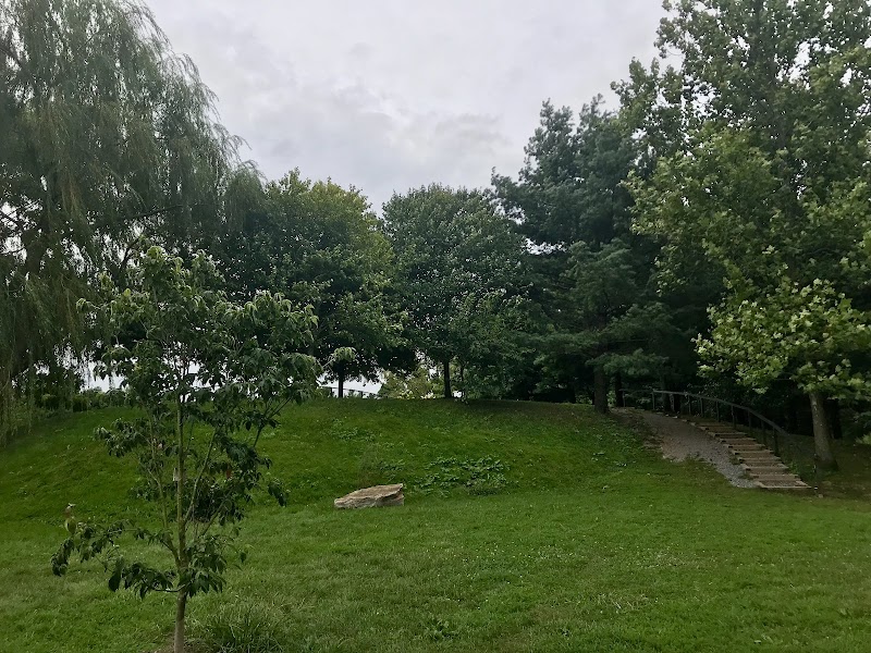 Grass Island Dog Park photo 5