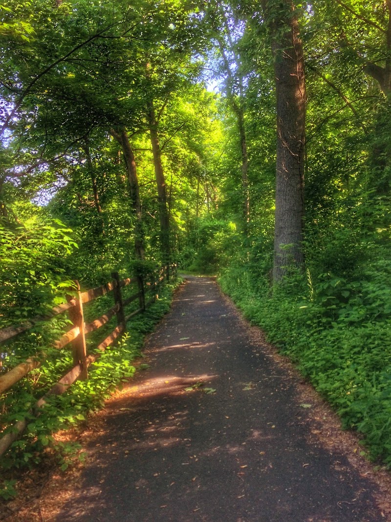 Travis Hill Park photo 2