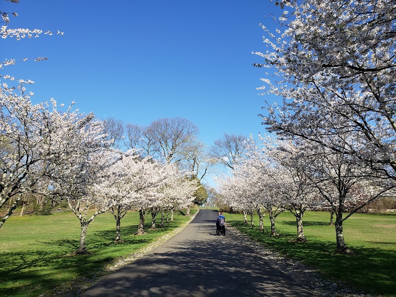 Crawford Park photo 3