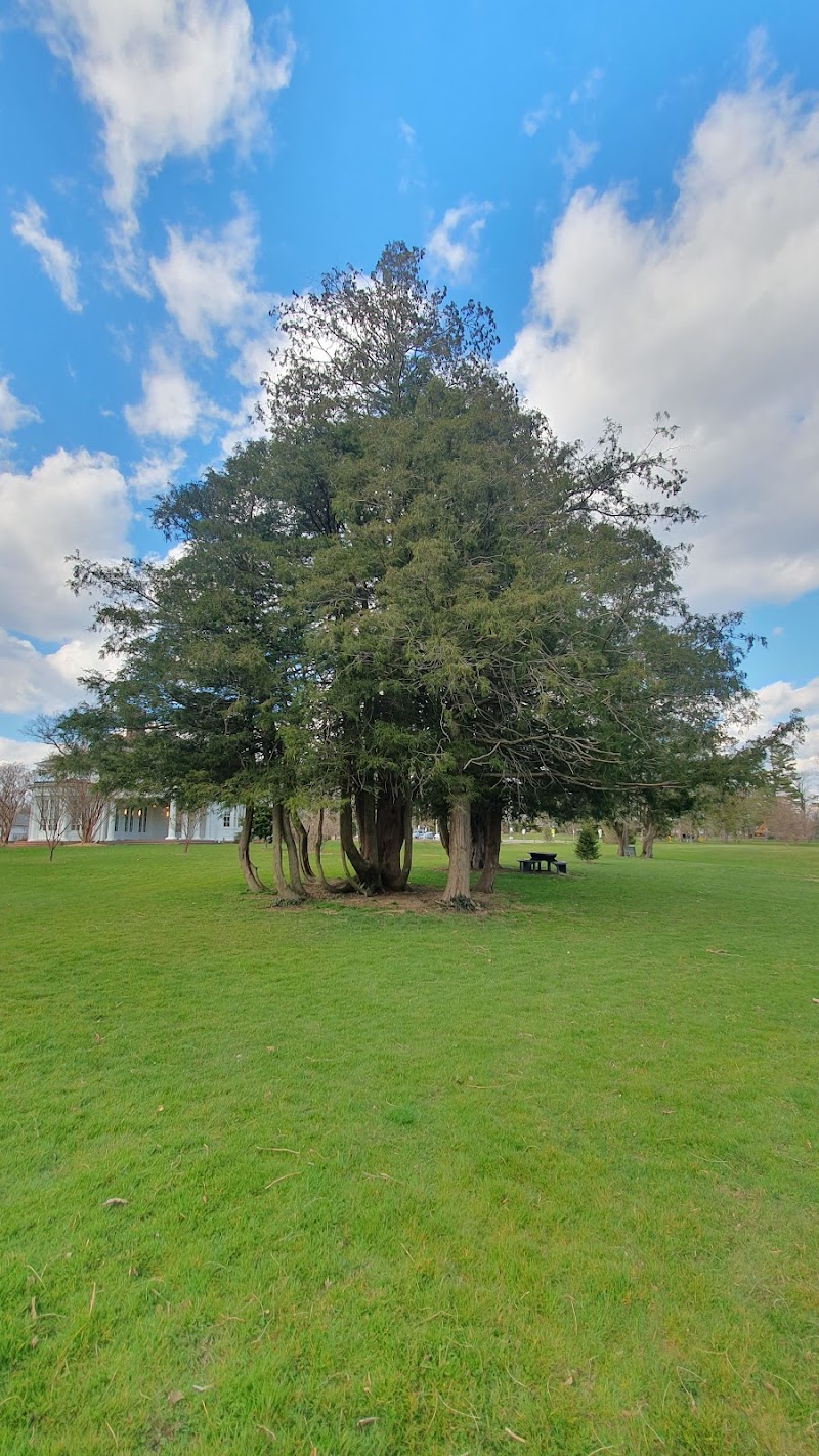 Crawford Park photo 5
