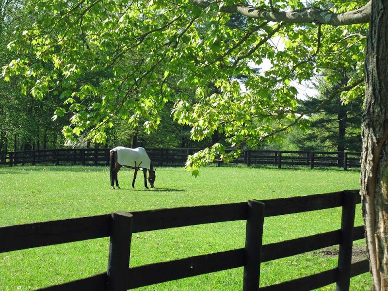 Arcadia Farm photo 2