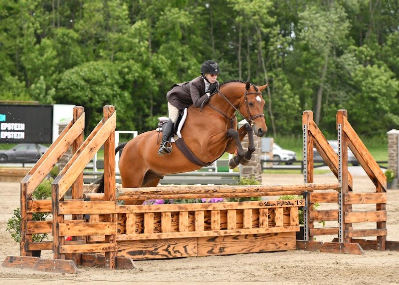 Arcadia Farm photo 4
