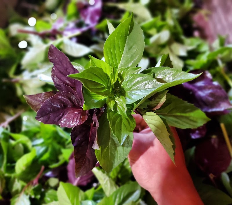 Orchard Hill Organics LLC photo 2