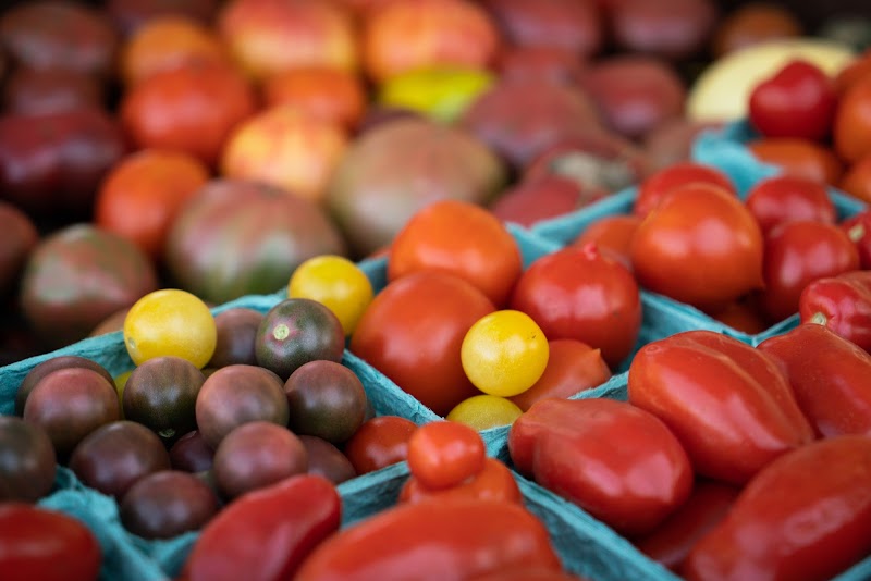 Orchard Hill Organics LLC photo 3